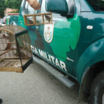 Jovem morre afogado no Paraíba do Sul, em Cambuci