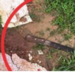 Caravana de Natal da Coca-Cola passará por Itaperuna nesta quarta e por Campos na quinta