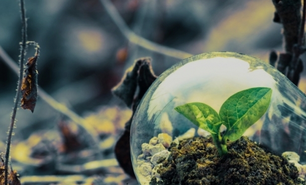 Itaperuna realiza o Café com Sustentabilidade no bairro Vinhosa