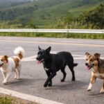 Prefeitura de Itaperuna desmente Fake News sobre gestão da saúde