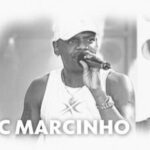 ‘Show do Século’ em Copacabana teve mais de 500 pessoas conduzidas para delegacias