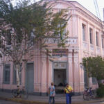 Secretaria do Ambiente celebra o ‘Dia da Árvore’ em Itaperuna