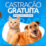 Com chegada de nova frente fria, chuva deve afastar onda de calor