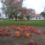 Operação com 120 policiais termina com 27 presos em Miracema