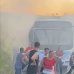 Secretaria do Ambiente celebra o ‘Dia da Árvore’ em Itaperuna