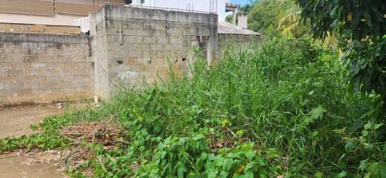 Polícia encontra construção irregular em Área de Preservação Permanente em Itaperuna