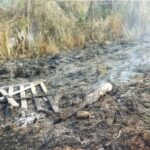 Três pessoas são detidas por tráfico de drogas e posse de arma em Cardoso Moreira