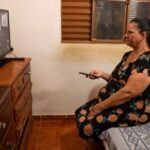 Polícia apreende pés de maconha em Itaperuna