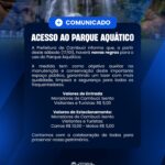 Carro capota na BR-356 em Cardoso Moreira