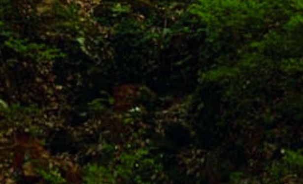 Corpo de homem é encontrado amordaçado e com mãos amarradas no bairro Surub