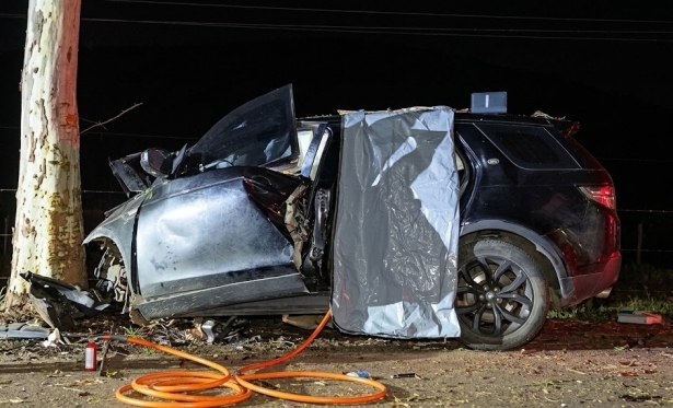 Carro bate em árvore e mata jovem de 19 anos na RJ-220